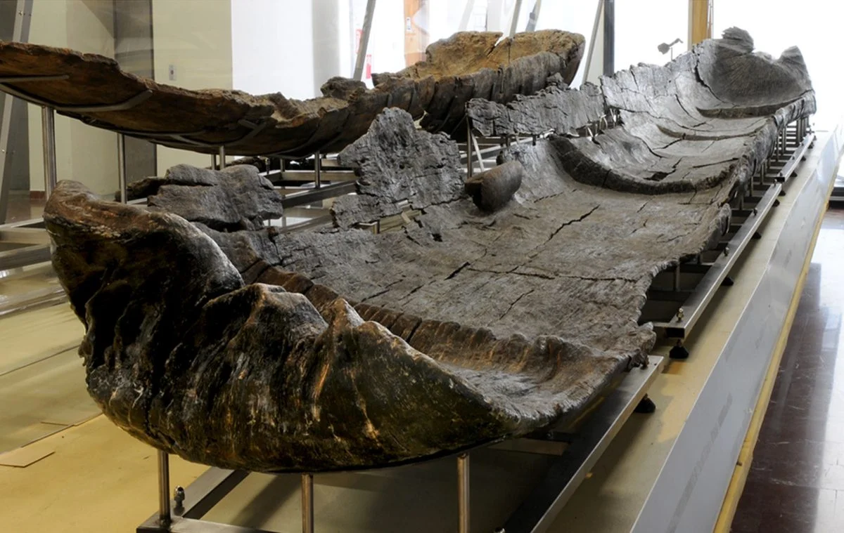 7,000-year-old canoes indicate Neolithic nautical technology
