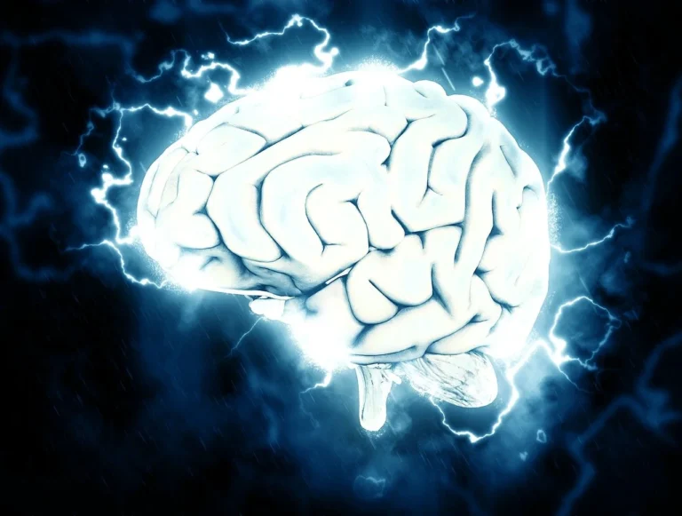 Brainwaves: Distinct Directions for Memory and Recall
