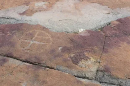 Rock art discovered among dinosaur footprints in Brazil