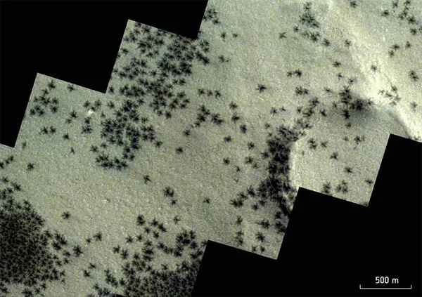 Spiders photographed on Mars