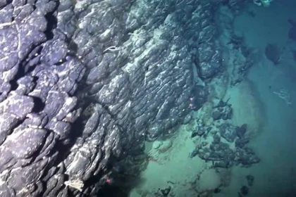 Submerged island found off the coast of Brazil