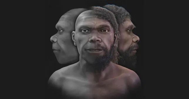 Oldest Known Human Face Reconstructed