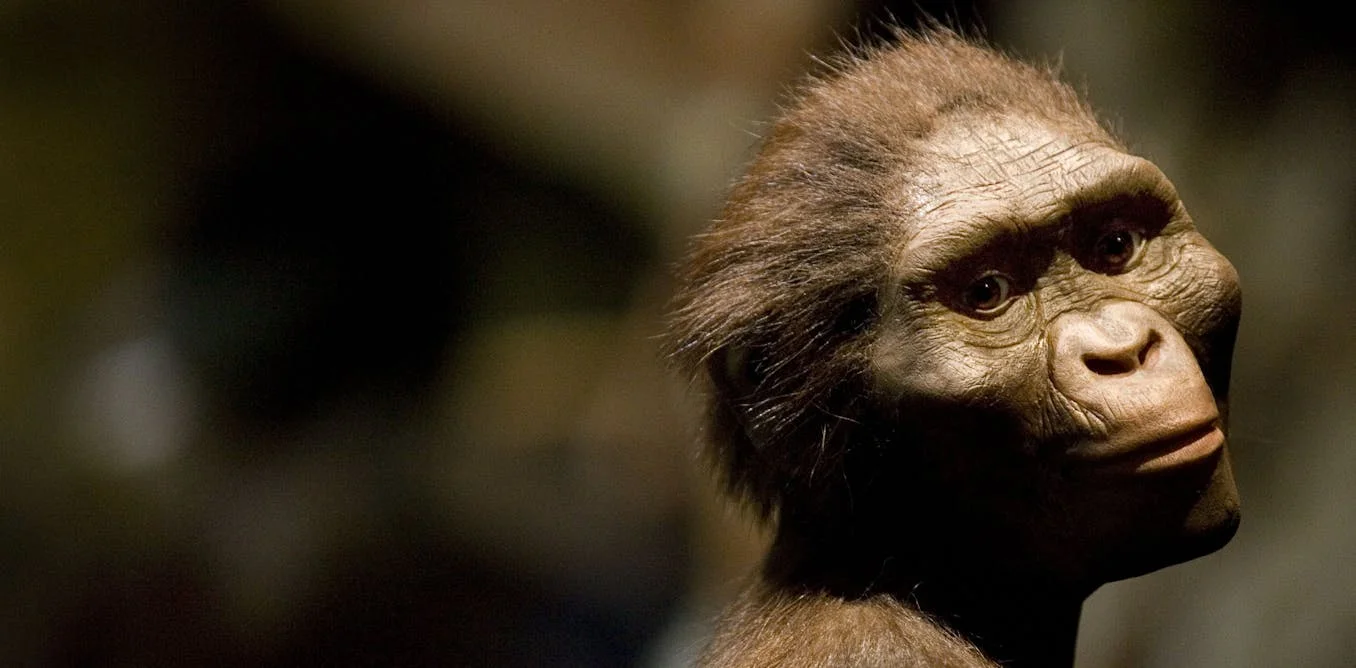 What Lucy's fossil reveals about nudity and shame