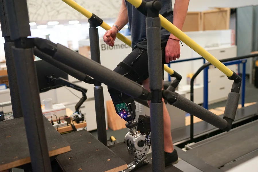 Neural prosthesis helps amputees walk naturally