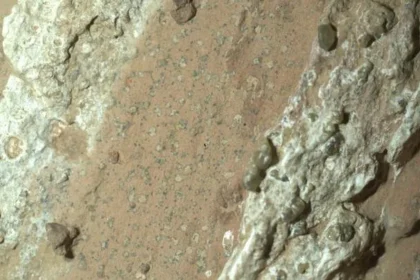 Rock on Mars may contain evidence of ancient microbial life