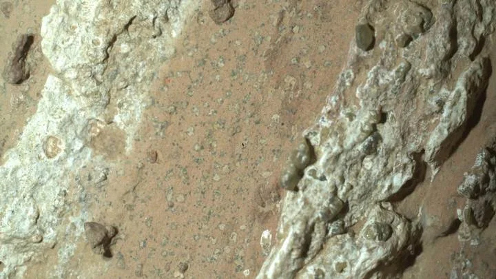 Rock on Mars may contain evidence of ancient microbial life