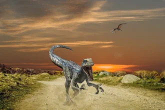 Could dinosaurs still exist somewhere in the world