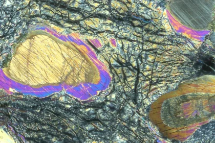 Largest sample of Earth's mantle may reveal origins of life