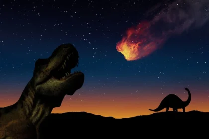 Origin of asteroid that wiped out dinosaurs determined