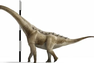 75-million-year-old sauropod dinosaur discovered in Spain