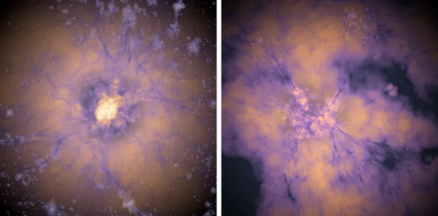 Early dark energy could resolve cosmology’s two biggest puzzles