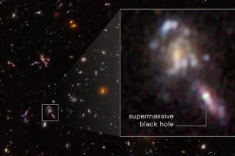 Hubble finds more black holes in the early universe