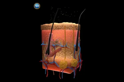 Scientists develop new technique that makes skin transparent