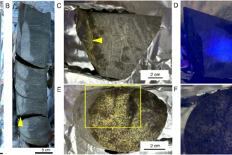 2-billion-year-old rock home to living microbes