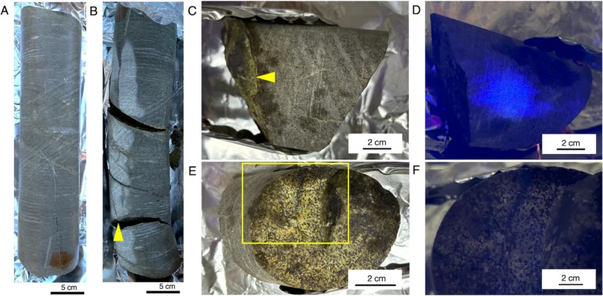 2-billion-year-old rock home to living microbes