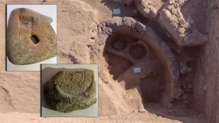 3,500-year-old grain silo found in the lost city of Puruşhanda