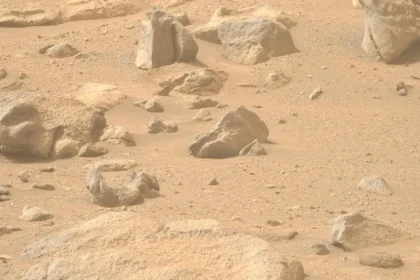 “Face” photographed on Mars by NASA's Perseverance rover?