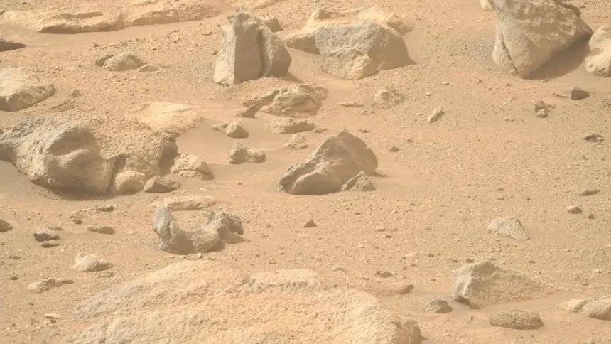 “Face” photographed on Mars by NASA's Perseverance rover?