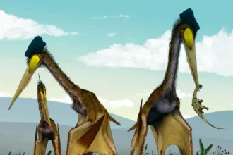 New pterosaur species discovered in Japan