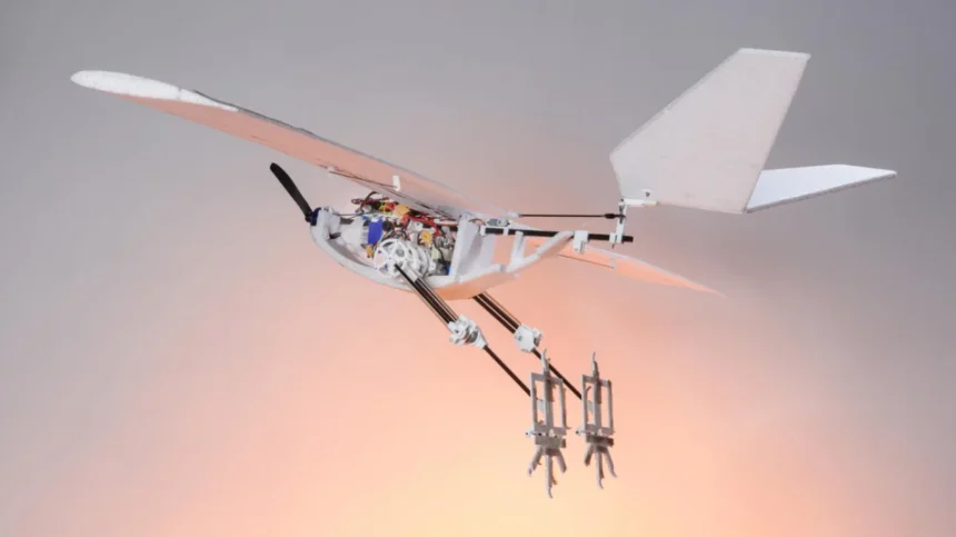 Bird-inspired drone can jump for take-off