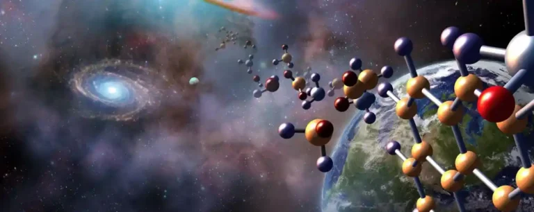 Existe uma lógica fundamental para a vida