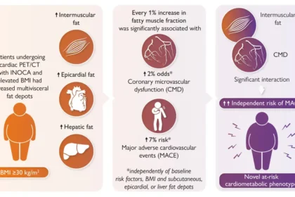 Fatty muscles increase the risk of heart disease