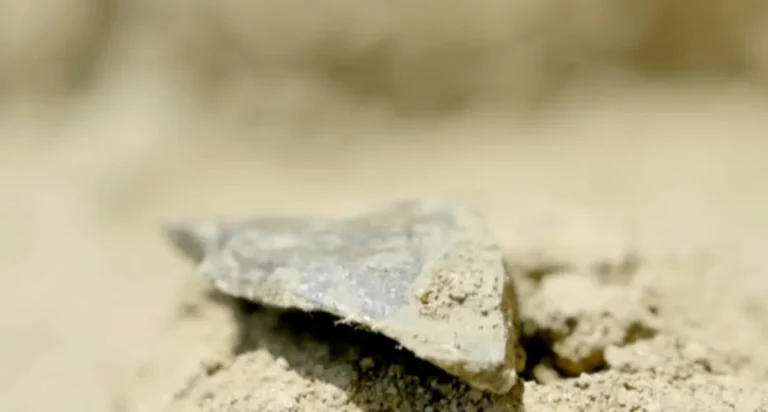 Ferramentas de 3 milhões de anos encontradas no Quênia