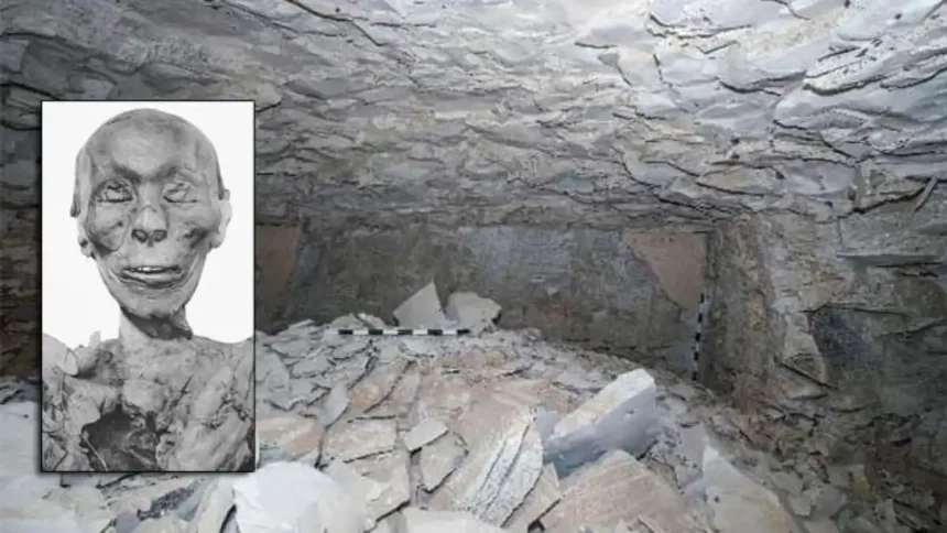 Lost tomb of pharaoh Thutmose II discovered