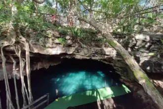 Fósseis de preguiça gigante e de cavalo encontrados em Yucatán