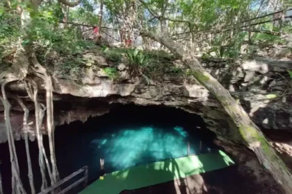 Fósseis de preguiça gigante e de cavalo encontrados em Yucatán