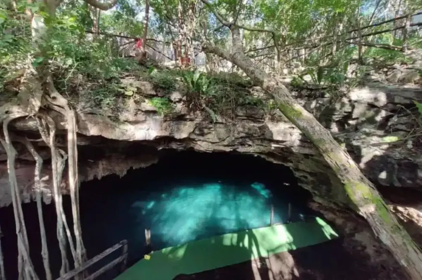 Giant sloth and horse fossils found in Yucatán