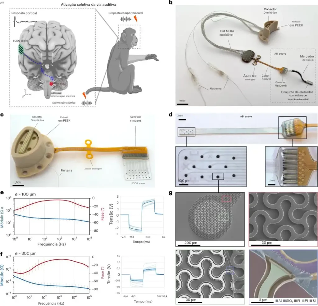 Projeto experimental e dispositivos. Crédito: *Nature Biomedical Engineering* (2025). DOI: 10.1038/s41551-025-01378-9