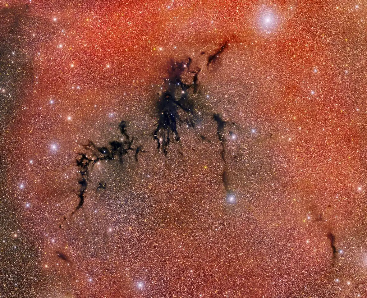Star Nest in Circinus West
