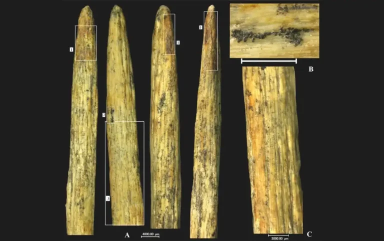 Spear tip found in Russia is the oldest in Europe, made by Neanderthals.