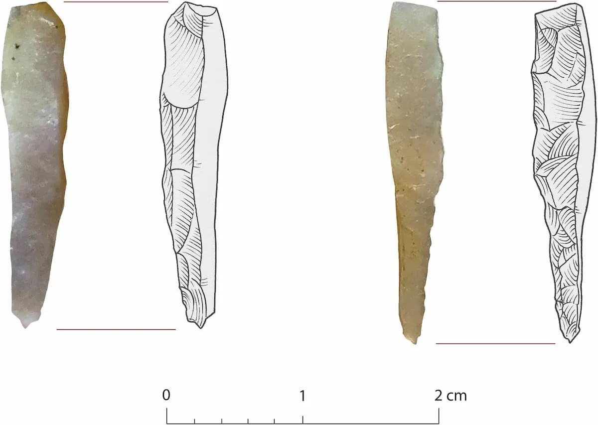 Two Maya tattoo tools discovered in cave.