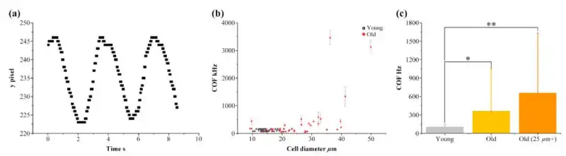 Recorded cell trajectories during FM-DEP application and the distribution of crossover frequencies (COF), showing a clear difference between young and senescent cells.