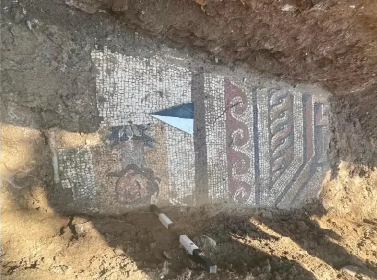 Mosaico romano antigo descoberto durante obras de infraestrutura na Turquia
