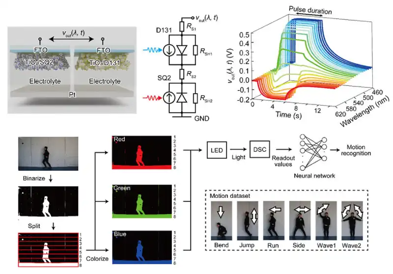 New artificial synapse recognizes colors like the human eye