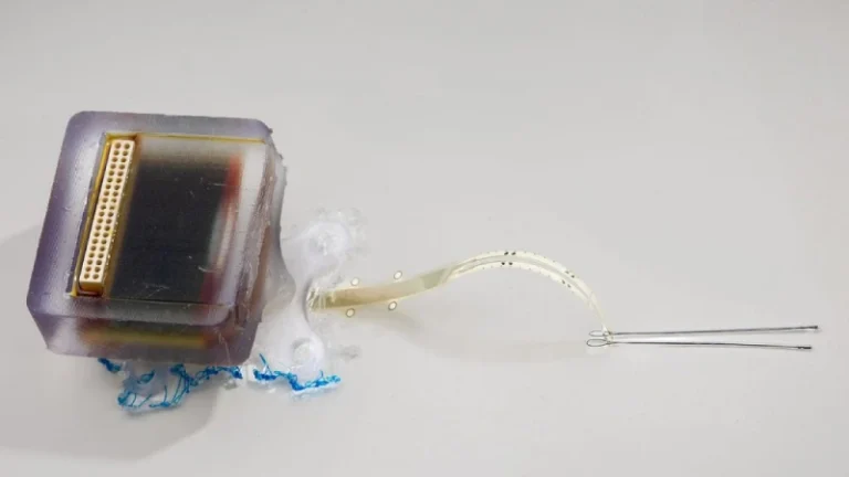 Nova abordagem para lesão na medula espinhal