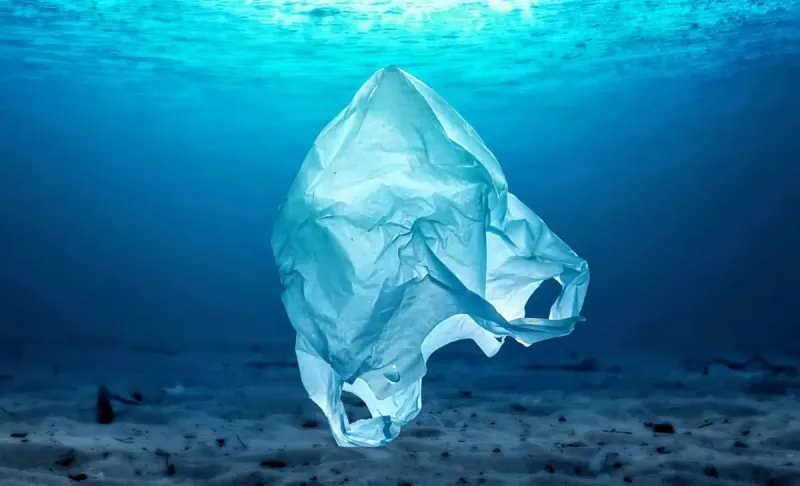 Novo plástico se dissolve na água do mar em poucas horas