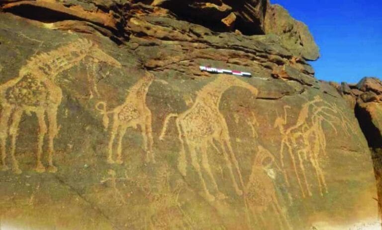 10,000-year-old rock engravings discovered in Libya