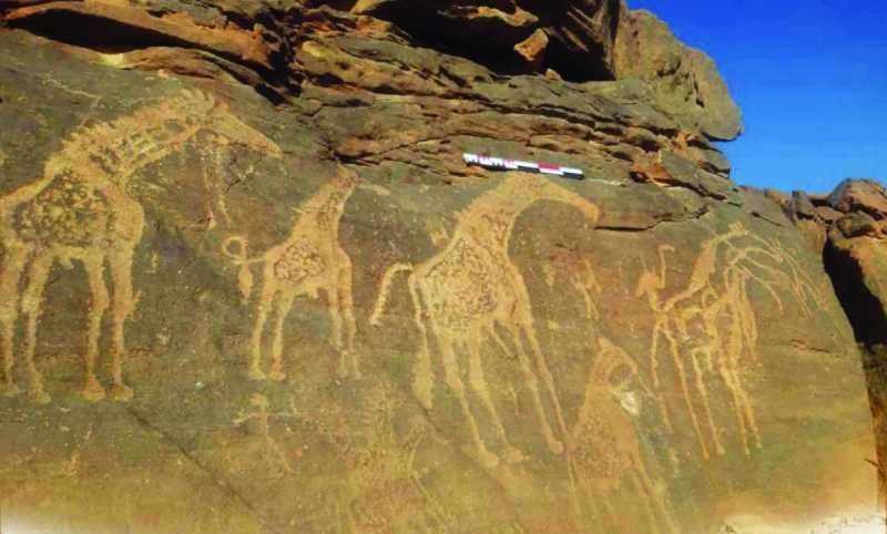 10,000-year-old rock engravings discovered in Libya