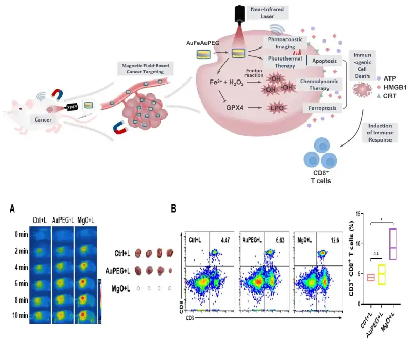 Schematic diagram of the multifunctional nanomaterial treatment platform developed by KRISS. Credit: Korean Research Institute of Standards and Science (KRISS)