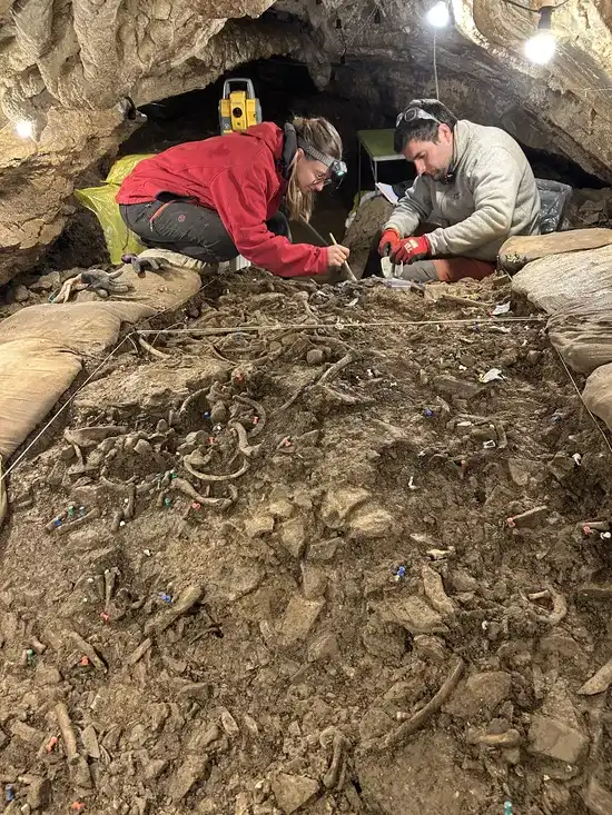 Archaeological excavations carried out in June at the Roc de les Orenetes site (Queralbs, Ripollès). Credit: IPHES-CERCA