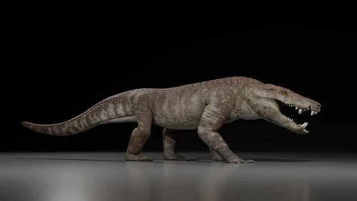 A model of what scientists believe Kostensuchus atrox looked like. Artwork by Gabriel Díaz Yantén.