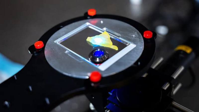 Rice University's “deep learning extended depth of field microscope,” or DeepDOF. (Representative image). Credit: Rice University