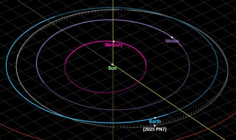 The newly discovered quasi-moon 2025 PN7 shares an Earth-like orbit. But from our vantage point, it appears to orbit the Earth. Image: NASA.