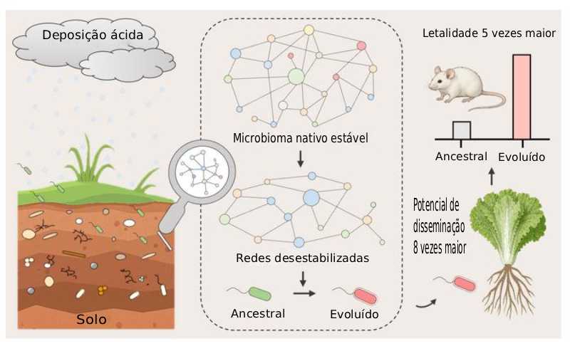 A deposição ácida alimenta o risco de patógenos por meio de uma cascata ecológica e evolutiva acoplada.