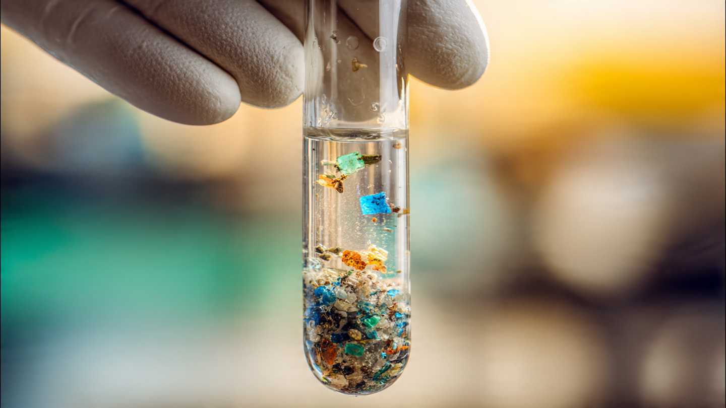 Microplásticos podem espalhar patógenos perigosos