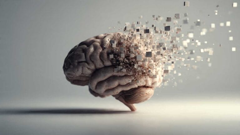 10 mil exames cerebrais revelam por que sua memória piora com a idade